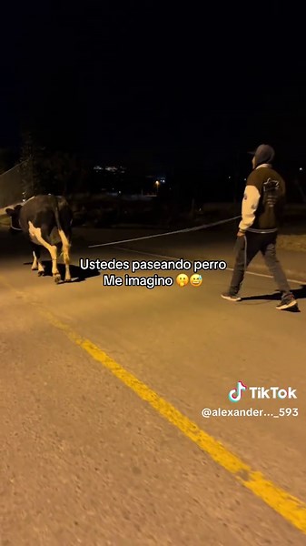 Ustedes paseando perro — Me imagino (video viral)