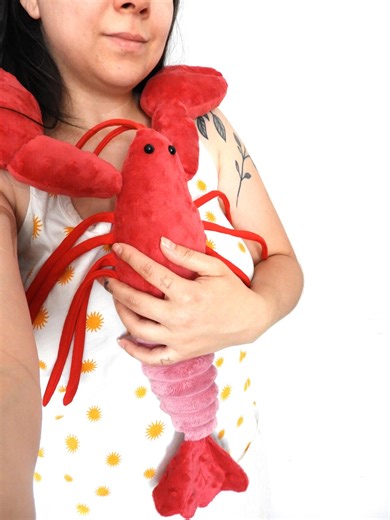 Red Lobster Big Plushie, Made of Soft Fabric, a Great Gift for Children - Etsy