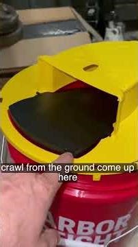 HOW TO CATCH AN UNLIMITED AMOUNT OF MICE #mice #mousetrap #trap #mouse