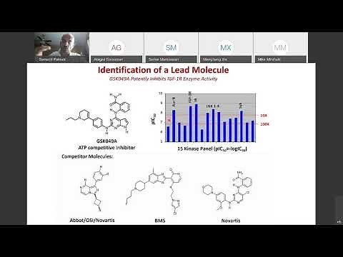 Lead Selection and Optimization by Medicinal Chemistry