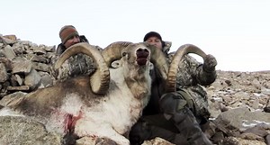 Marco Polo Sheep Hunt in Tajikistan Ends With Two World-Class Rams