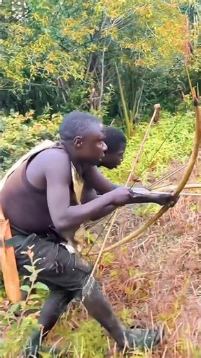 Chaba cheetah runs in fear while hunting #africa #usa #hadzatribe #animals #comedy #funny #cute