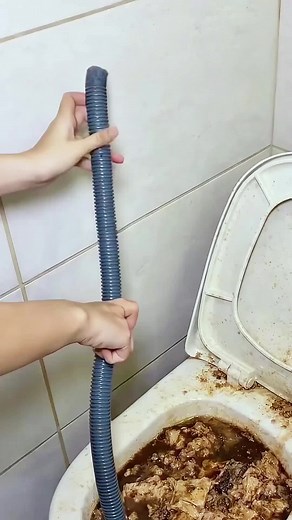 꼭 봐야 할 생활 농업 채소 작품