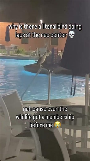 At CSULB I see something unhinged happen and my brain just files it as normal behavior fr fr daily..