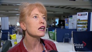 Cattle producers keeping an eye on Beyond Meat’s success
