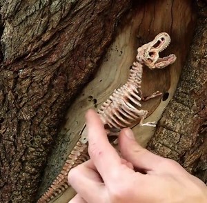 Prehistorian fossil was found and restored! | Green Bean