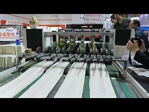 Full automatic stripping die cut machine