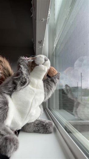 Sandy Cheeks (@sandy.cheekz)’s videos with original sound - Victoriaaaa🖤666