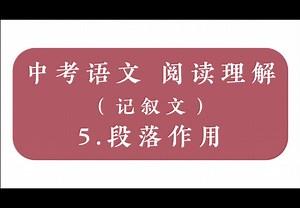段落作用=内容 结构。