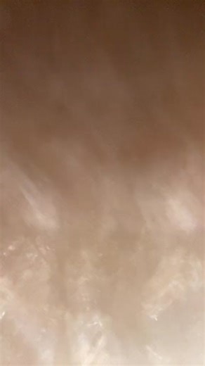 WisconsinTiff (@wisconsin_tiff1)’s videos with original sound - WisconsinTiff