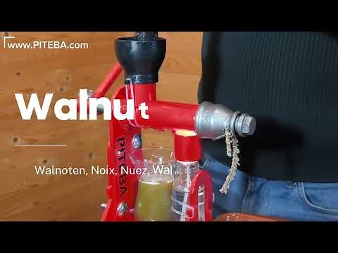 How to press pure walnut oil with the Piteba oil press