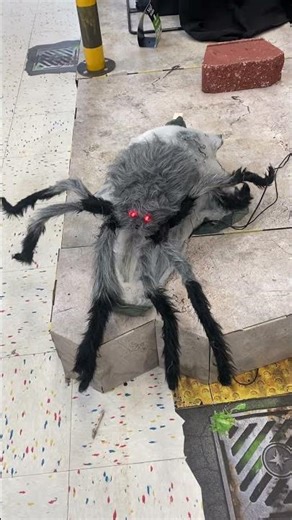 Jumping spider fail #spirithalloween #edit #sehar