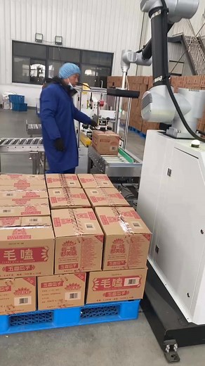 Stacking machines from Chinese manufacturers # palletizer | Packaging machine