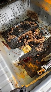 Their car was full of ants...🤮 | Supercar Blondie