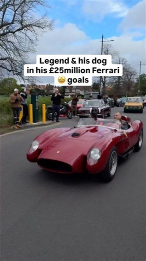 Completed life at this point. Dog in your £25m+ Ferrari. What a legend