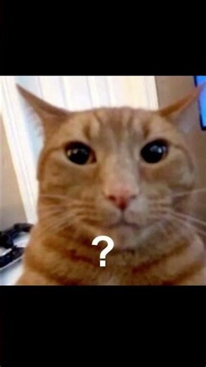 Day 1 experimentation table until I get a sharp 7 book