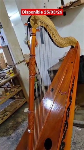 Arpa Profesional Disponible (Para Músicos Arpistas) 956 817 359 WhatsApp
