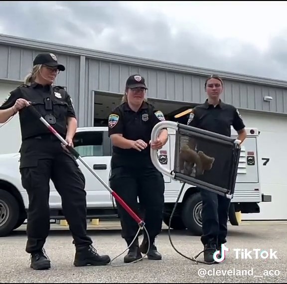 🐾We’re hiring! Cleveland Animal Care & Control is currently looking to hire full-time Animal Control Officers! Join our team and make an impact on the lives of the people & pets in our community! 🐾 For more information on Qualifications, Essential Duties and responsibilities visit clevelandohio.gov