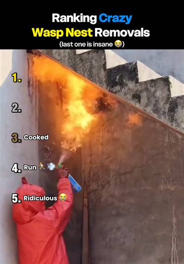 Ranking Crazy Wasp Nest Removals 😂 #wasp #ranking #top5 #funny #fails | wasp nest removal