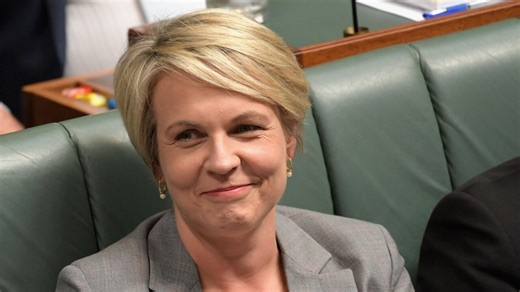 3.3K views · 165 reactions | Environment and Water Minister Tanya Plibersek says Australia has seen a “renewable energy boom” under a Labor government. | Sky News Australia | Facebook