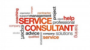 Service Consultant