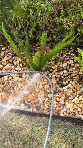 #dirtyducks #getduckingclean #pressurewashing #powerwashing #cleaning