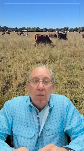 9.6K views · 110 reactions | Dominique's Livestock Market on Reels | Facebook