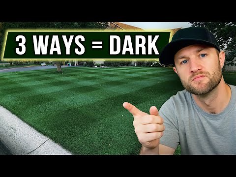 3 Ways to get a RIDICULOUSLY DARK LAWN - For Beginners