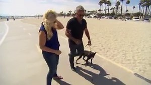 When walking your dog remember to always stay calm and assertive! #DogWhisperer | Dog Whisperer with Cesar Millan: Family Edition