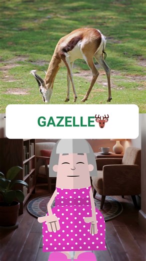 10 Rare & Cool Animals in English Fast Vocabulary for Beginners