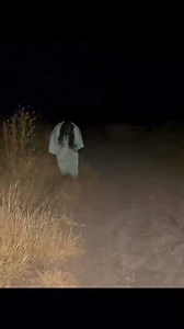 13K views · 280 reactions | ENCONTRE BRUJA EN EL CAMINO!  #reelsvideo #reelsfb #reelsvideo #reelsviral #review #denver #quality #Carolina #paranormal #brujas #instagood #newyork #Culture #post #satanic #santeria #Guanajuato #Utah #CiudadDeMéxico #misticismo #usa #canada #losangeles #laugh #lasvegas #followtrain #foryou #reelsinstagram #reelsindia #reelsusa | Dactilar | Facebook