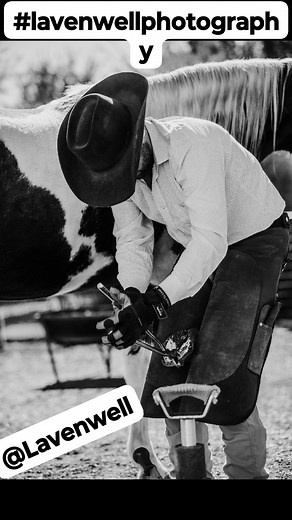 17 reactions | Thank you for the pics Lavenwell #samyoderfarrierservice | Sam Yoder | Facebook