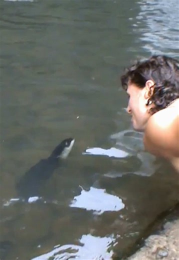 Discovering the Fascinating Eel in New Zealand's Nature