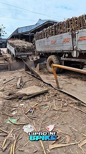 Truck sugarcane dumping #reels | Lipad Ni Spike