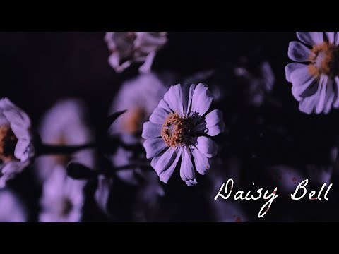 Daisy Bell | Haunting Lullaby Version (Instrumental)
