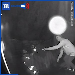 12K views · 105 reactions | This delivery driver flew head first over a customer's gate and almost loses his trousers in the process!  via Dogtooth Media | Daily Mail Video | Facebook