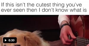 Peaceful music - Music