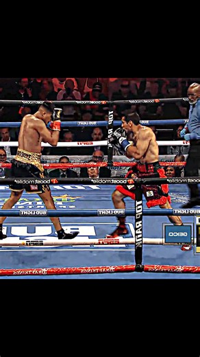 Xander Zayas VS. Ronald Cruz HIGHLIGHTS #boxing #sports #combat