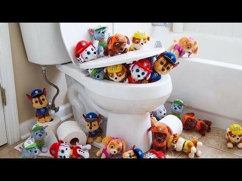 What Happens When You Find PAW Patrol in the Toilet?!