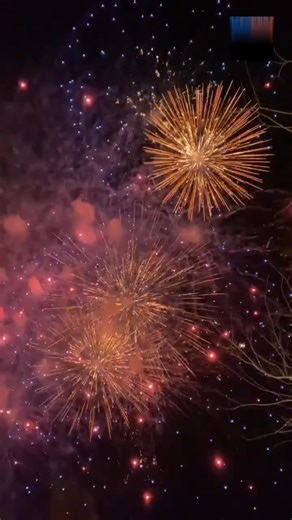 FAKTA UNIK KEMBANG API FIREWORK #faktaunik #fireworks #fakta