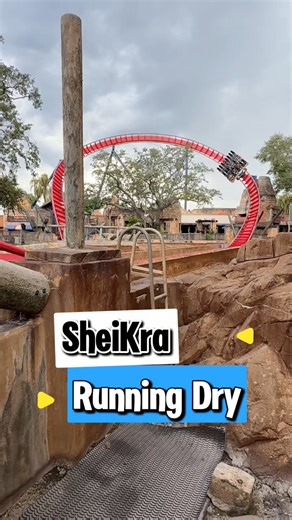 The last couple times I’ve been to Busch Gardens Tampa SheiKra has been running without the water splash #buschgardens #rollercoaster #amusementpark | In The Loop