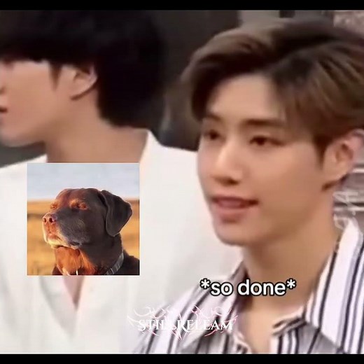 WHAT do you do when you WAKE in the MORNING 🤣😁#straykids#funny#shorts#trending