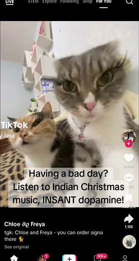 LALA (@ray.leia)’s videos with original sound - Amelia