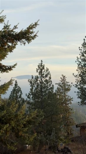 Fog | Earth Fairy Holistics