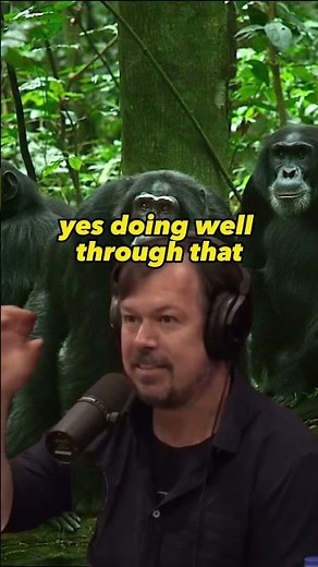 The Remarkable Politics of Chimpanzees: Lessons in Social Intelligence and Leadership - Joe Rogan