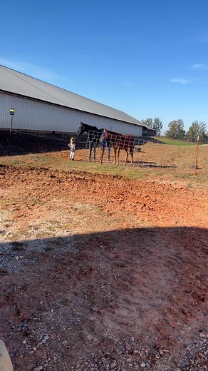 She’s really having a conversation with the horses lol 😂 | Laura Mast