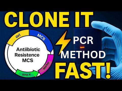 MOLECULAR CLONING | PCR Method | Restriction enzymes | Cloning Tools