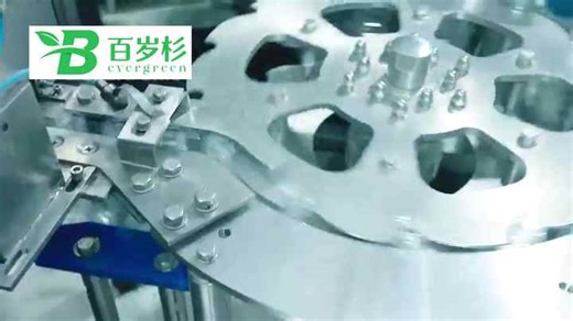 BS-High Efficient Bottle Filling and Capping Machine Rotary 3 in 1 PET Bottled Drinking Water Filling Machine