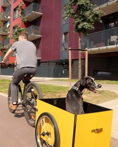 772K views · 2.9K reactions | DIY Folding Trailer For Your Bicycle! | Bored Panda Art | Facebook