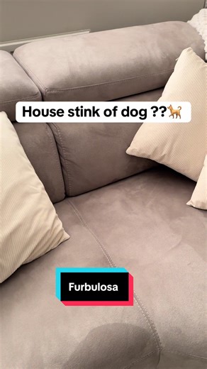 Effective Cleaning Hacks for Pet Odor Removal